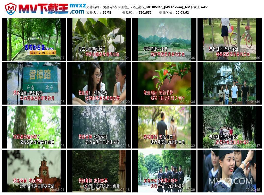 贺燕-青春的主色_国语_流行_MD105013